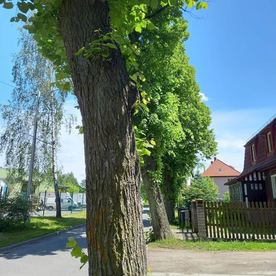 Dom Otwarty Apartman Jelenia Góra Kültér fotó