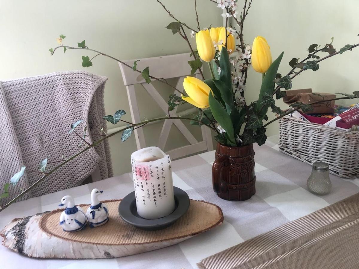Dom Otwarty Apartman Jelenia Góra Kültér fotó